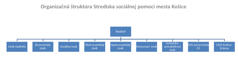 Organizačná štruktúra SSPmK
